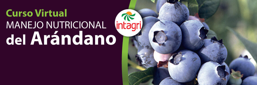 Curso virtual Manejo Nutricional del Arándano Inicio Intagri S C